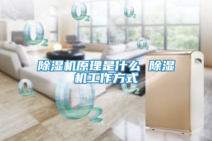 猫咪成人官网原理是什么 猫咪成人官网工作方式