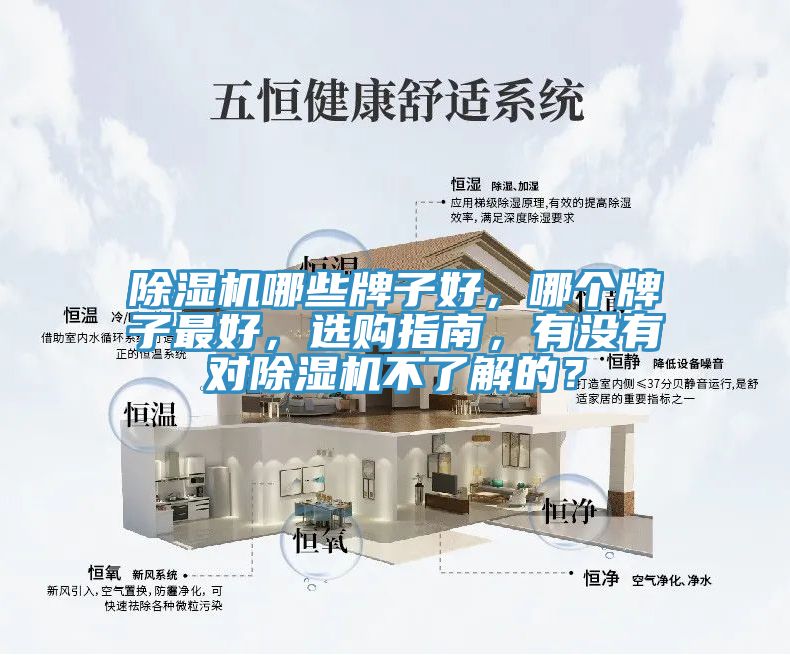 猫咪成人官网哪些牌子好，哪个牌子最好，选购指南，有没有对猫咪成人官网不了解的？