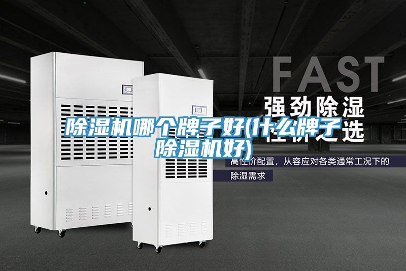 猫咪成人官网哪个牌子好(什么牌子猫咪成人官网好)