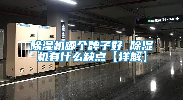 猫咪成人官网哪个牌子好 猫咪成人官网有什么缺点【详解】