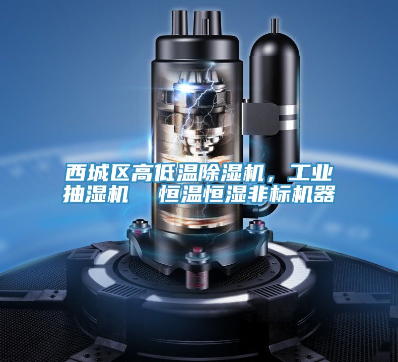 西城区高低温猫咪成人官网，工业抽湿机  恒温恒湿非标机器