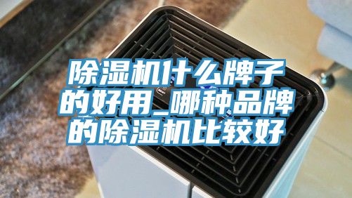 猫咪成人官网什么牌子的好用_哪种品牌的猫咪成人官网比较好