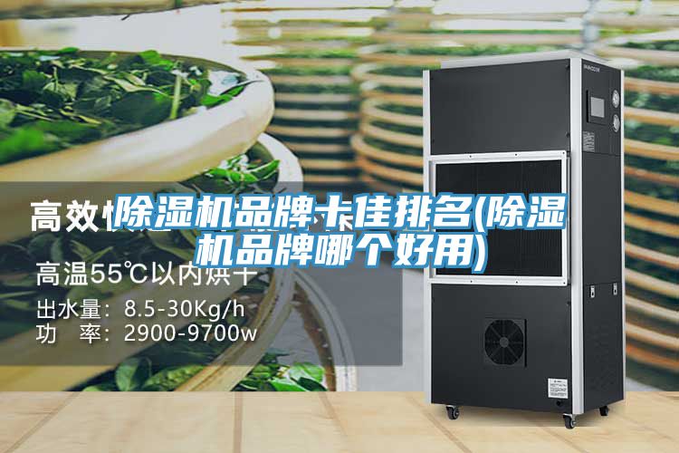猫咪成人官网品牌十佳排名(猫咪成人官网品牌哪个好用)