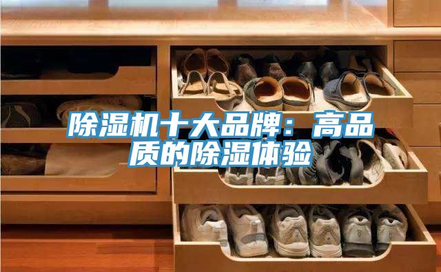 猫咪成人官网十大品牌：高品质的除湿体验