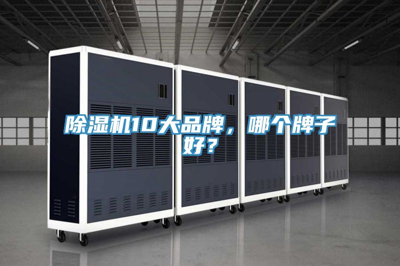 猫咪成人官网10大品牌，哪个牌子好？