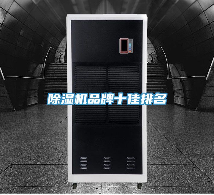 猫咪成人官网品牌十佳排名