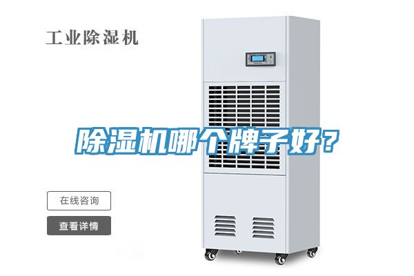 猫咪成人官网哪个牌子好？