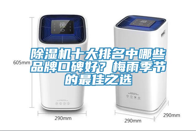 猫咪成人官网十大排名中哪些品牌口碑好？梅雨季节的最佳之选