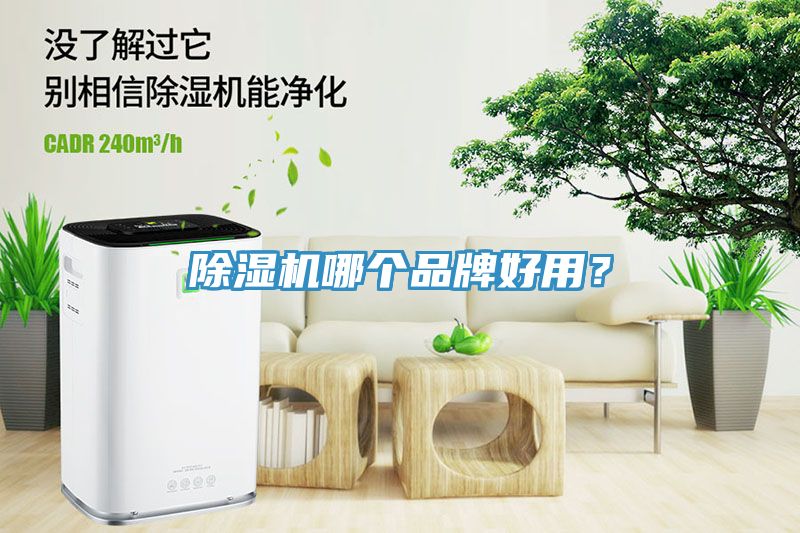 猫咪成人官网哪个品牌好用？