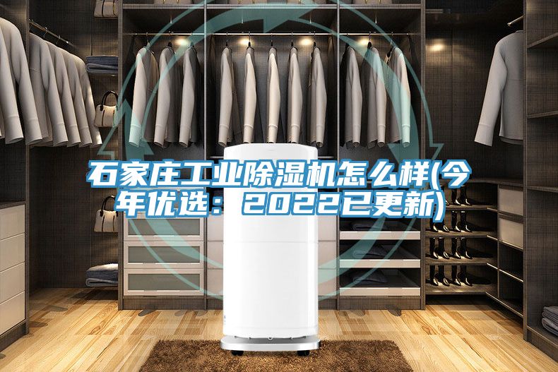 石家庄工业猫咪成人官网怎么样(今年优选：2022已更新)