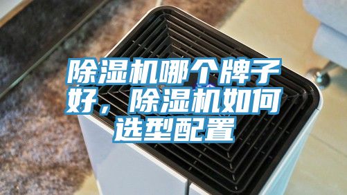 猫咪成人官网哪个牌子好，猫咪成人官网如何选型配置
