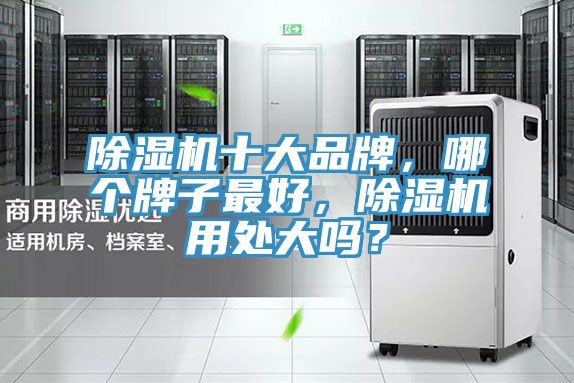 猫咪成人官网十大品牌，哪个牌子最好，猫咪成人官网用处大吗？