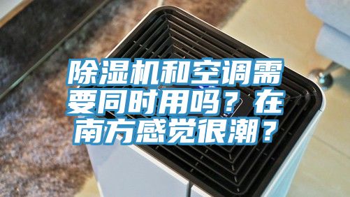 猫咪成人官网和空调需要同时用吗？在南方感觉很潮？