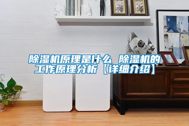猫咪成人官网原理是什么 猫咪成人官网的工作原理分析【详细介绍】