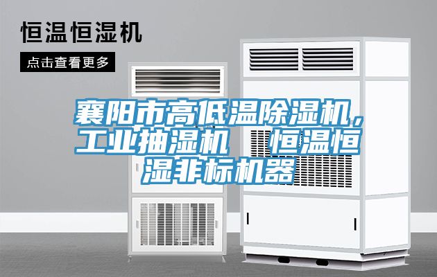 襄阳市高低温猫咪成人官网，工业抽湿机  恒温恒湿非标机器