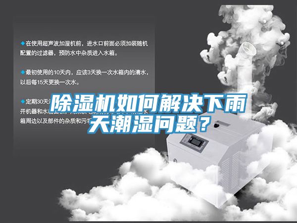 猫咪成人官网如何解决下雨天潮湿问题？