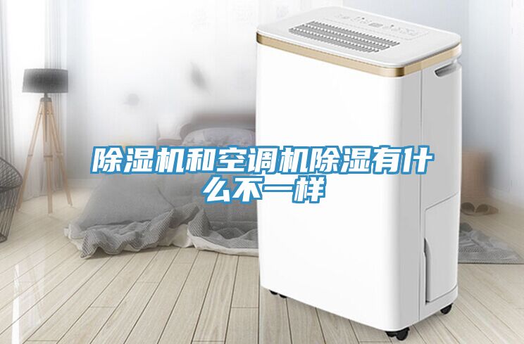 猫咪成人官网和空调机除湿有什么不一样