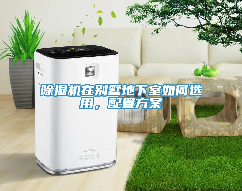 猫咪成人官网在别墅地下室如何选用，配置方案