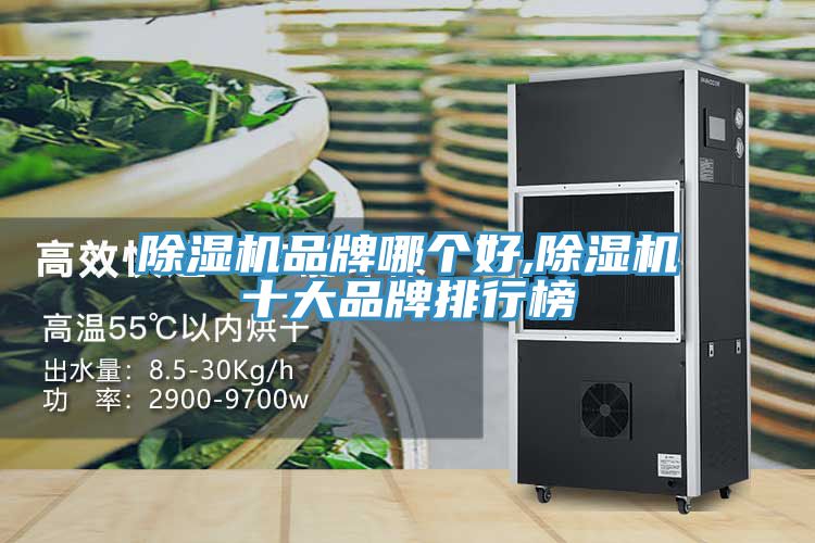 猫咪成人官网品牌哪个好,猫咪成人官网十大品牌排行榜