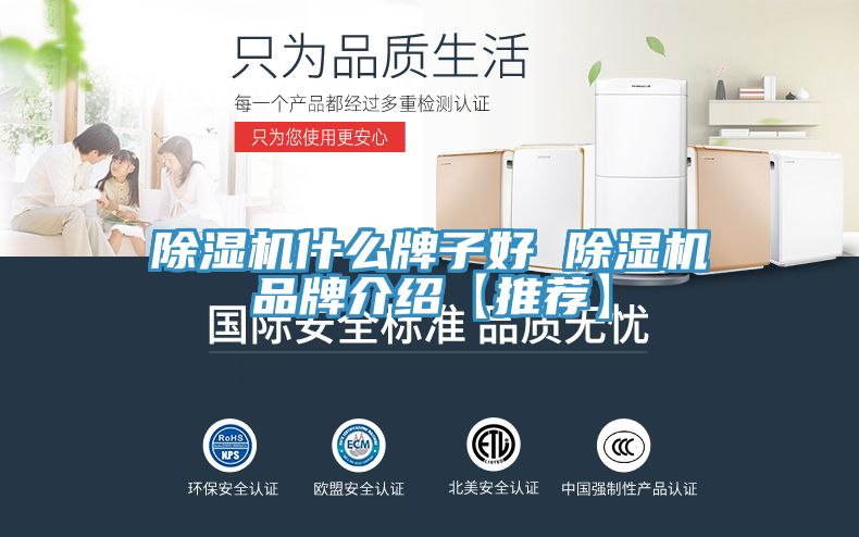 猫咪成人官网什么牌子好 猫咪成人官网品牌介绍【推荐】