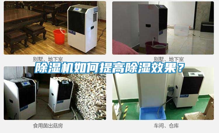 猫咪成人官网如何提高除湿效果？