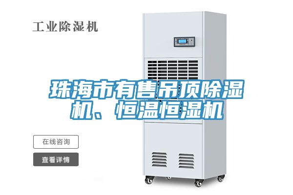 珠海市有售吊顶猫咪成人官网、恒温恒湿机