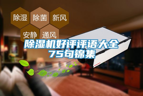 猫咪成人官网好评评语大全75句锦集