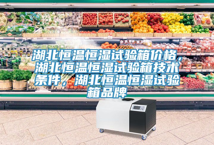 湖北恒温恒湿试验箱价格，湖北恒温恒湿试验箱技术条件，湖北恒温恒湿试验箱品牌