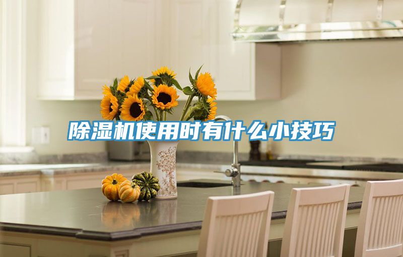 猫咪成人官网使用时有什么小技巧