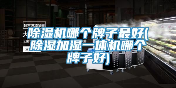 猫咪成人官网哪个牌子最好(除湿加湿一体机哪个牌子好)