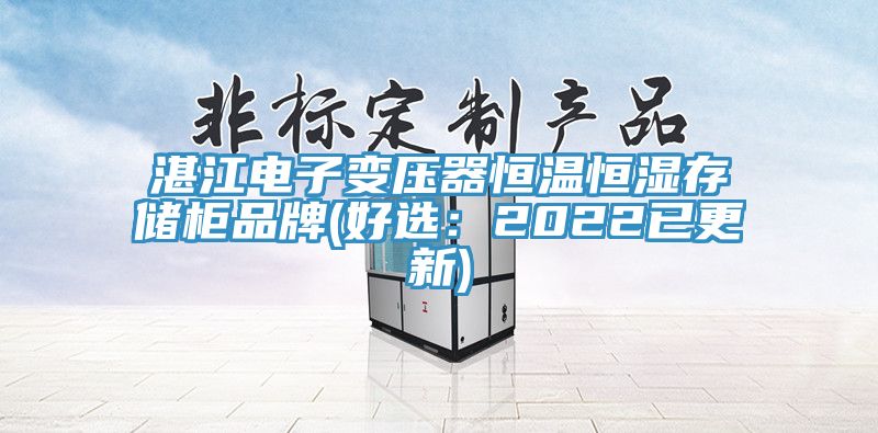 湛江电子变压器恒温恒湿存储柜品牌(好选：2022已更新)