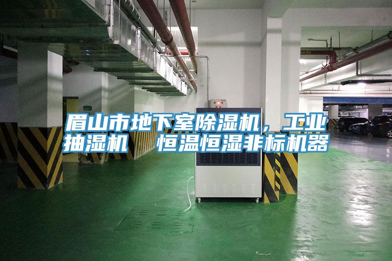 眉山市地下室猫咪成人官网，工业抽湿机  恒温恒湿非标机器