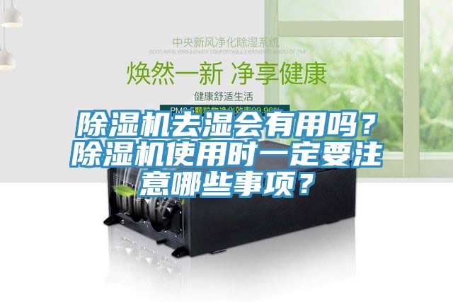 猫咪成人官网去湿会有用吗？猫咪成人官网使用时一定要注意哪些事项？