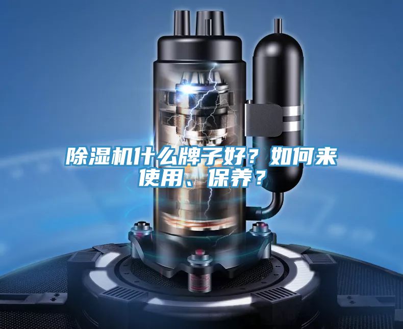 猫咪成人官网什么牌子好？如何来使用、保养？