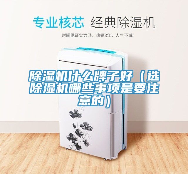 猫咪成人官网什么牌子好（选猫咪成人官网哪些事项是要注意的）