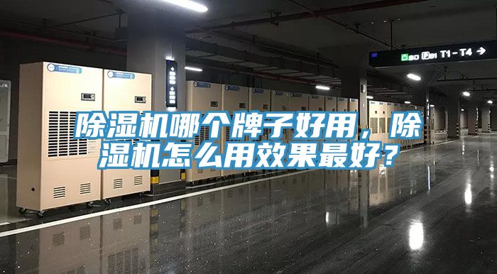 猫咪成人官网哪个牌子好用，猫咪成人官网怎么用效果最好？