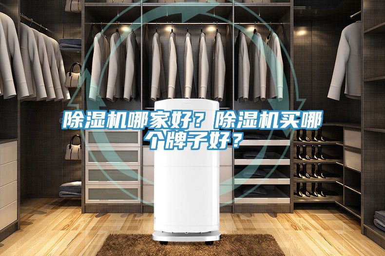 猫咪成人官网哪家好？猫咪成人官网买哪个牌子好？