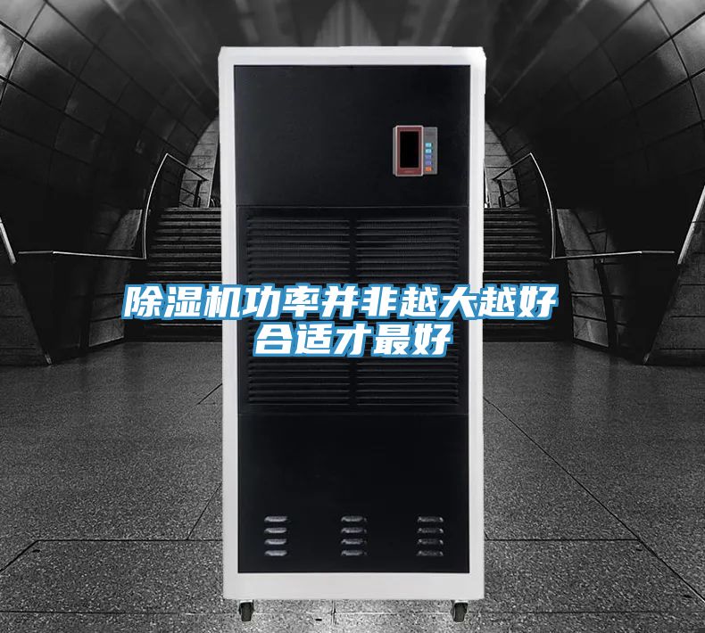 猫咪成人官网功率并非越大越好 合适才最好
