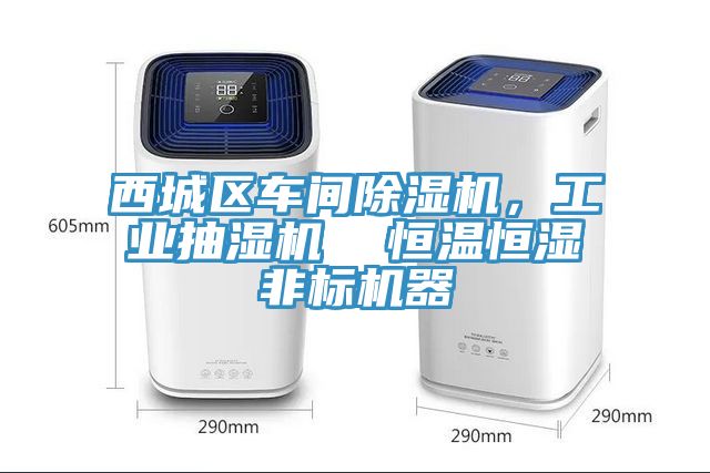 西城区车间猫咪成人官网，工业抽湿机  恒温恒湿非标机器