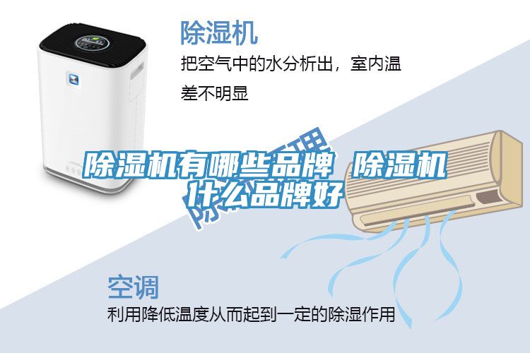 猫咪成人官网有哪些品牌 猫咪成人官网什么品牌好