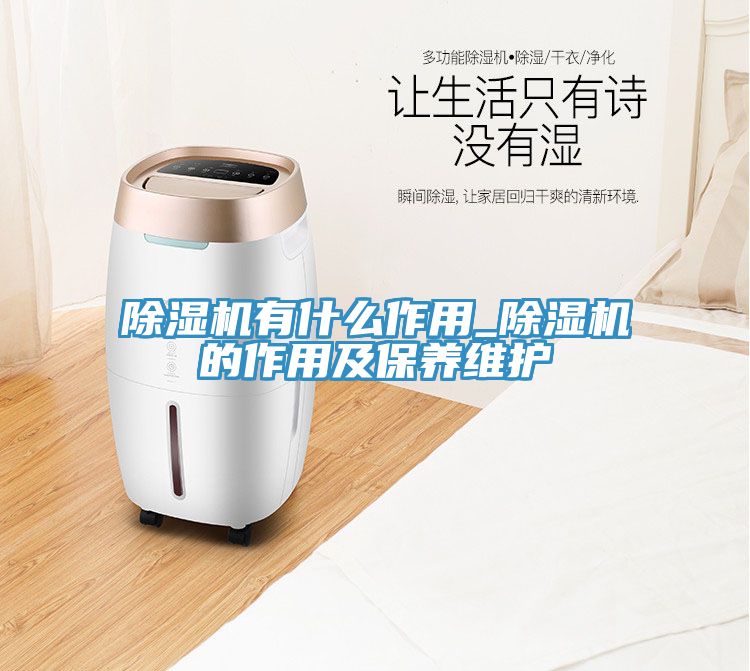 猫咪成人官网有什么作用_猫咪成人官网的作用及保养维护