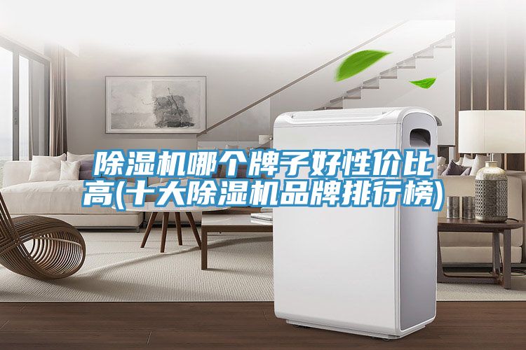 猫咪成人官网哪个牌子好性价比高(十大猫咪成人官网品牌排行榜)