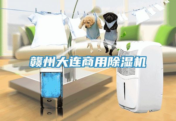 赣州大连商用猫咪成人官网