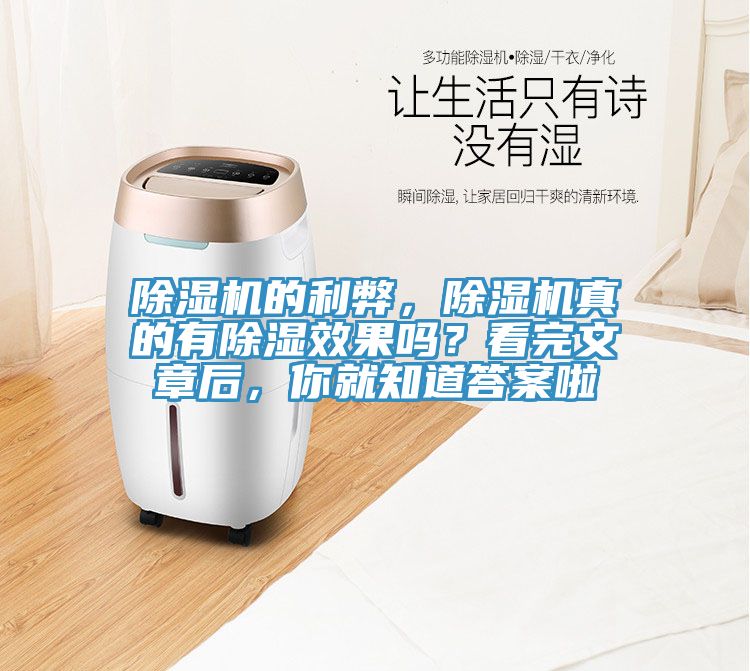 猫咪成人官网的利弊，猫咪成人官网真的有除湿效果吗？看完文章后，你就知道答案啦