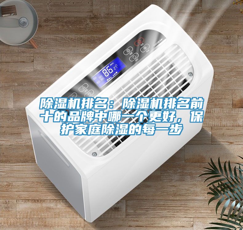 猫咪成人官网排名：猫咪成人官网排名前十的品牌中哪一个更好，保护家庭除湿的每一步