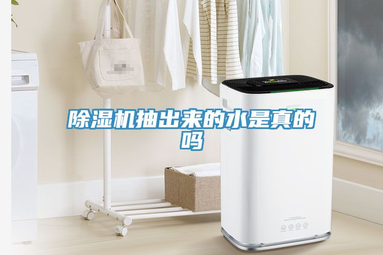 猫咪成人官网抽出来的水是真的吗