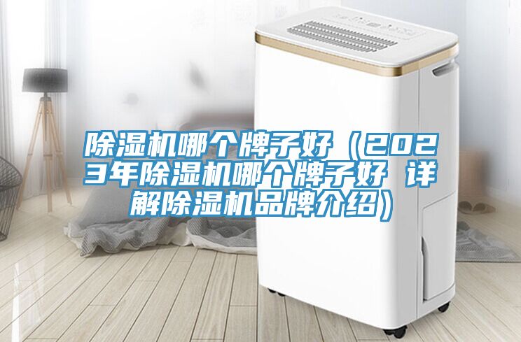猫咪成人官网哪个牌子好（2023年猫咪成人官网哪个牌子好 详解猫咪成人官网品牌介绍）