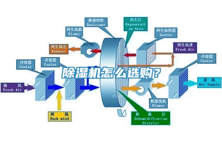 猫咪成人官网怎么选购？