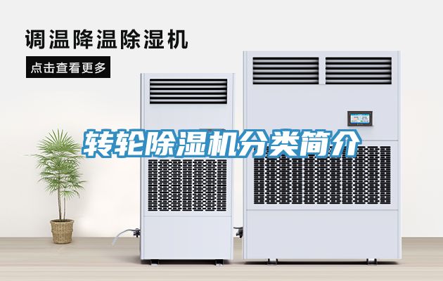 转轮猫咪成人官网分类简介