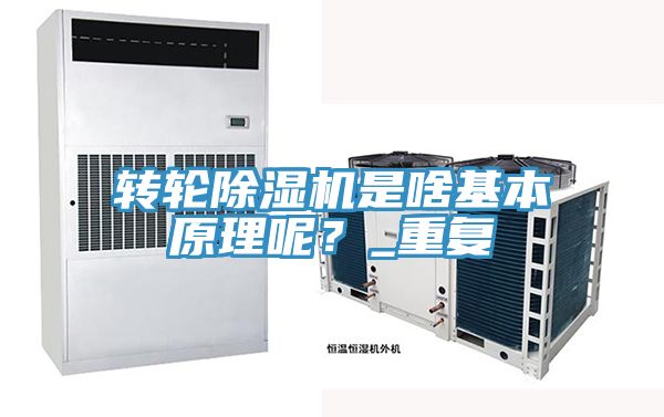 转轮猫咪成人官网是啥基本原理呢？_重复